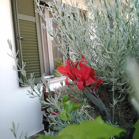 Apartment Nostalgia B In 50 Meters From The Sea Sami (Kefalonia)