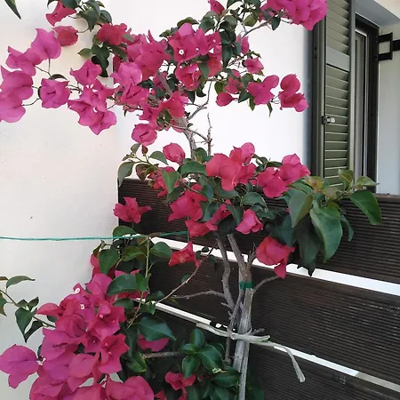 Nostalgia B In 50 Meters From The Sea * Sami (Kefalonia)