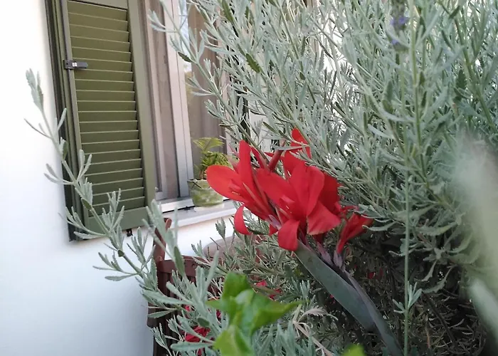 Apartment Nostalgia B In 50 Meters From The Sea Sami (Kefalonia)